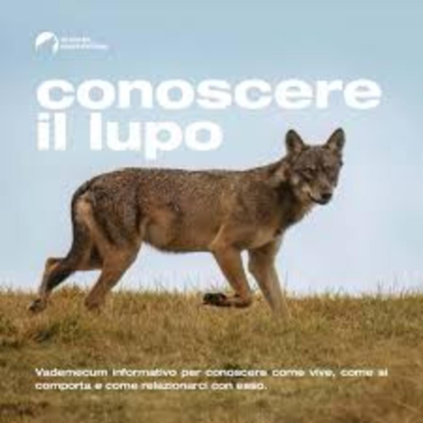 Considera l’armadillo di giovedì 09/04/2026