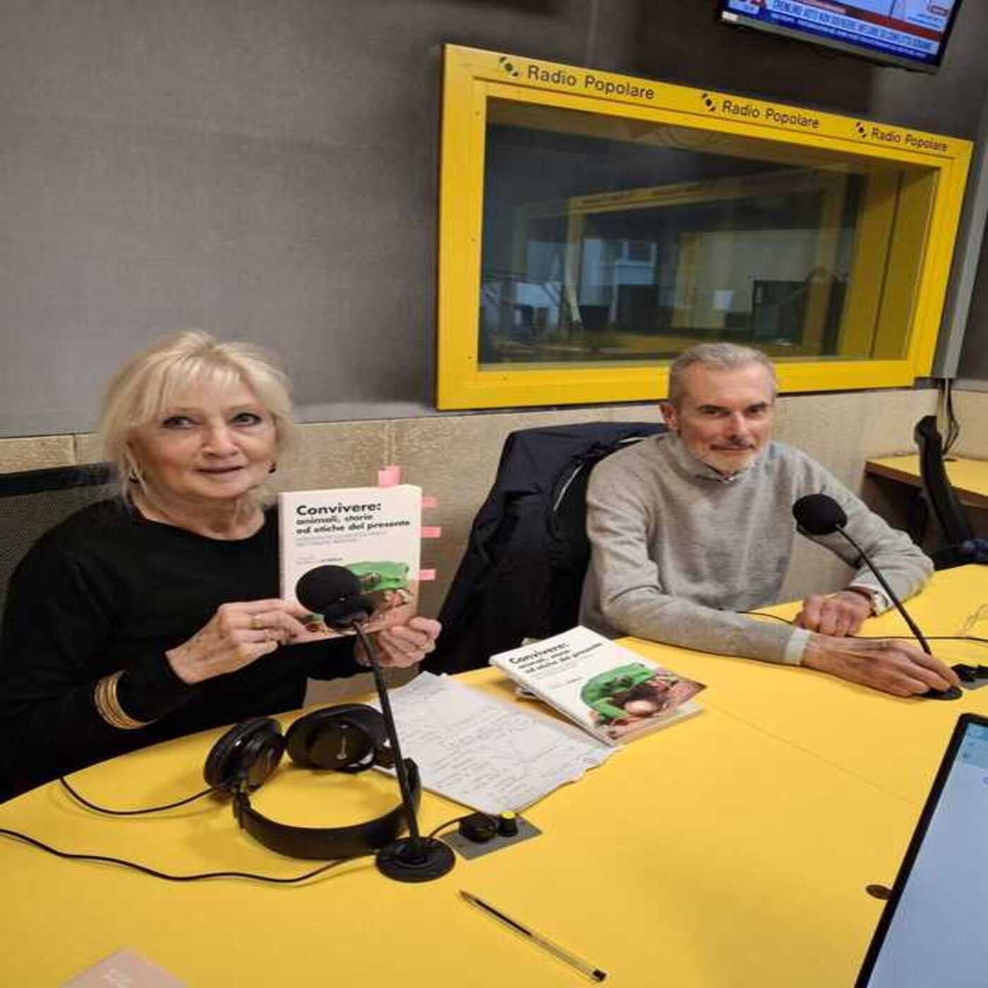 Considera l’armadillo di lunedì 13/04/2026