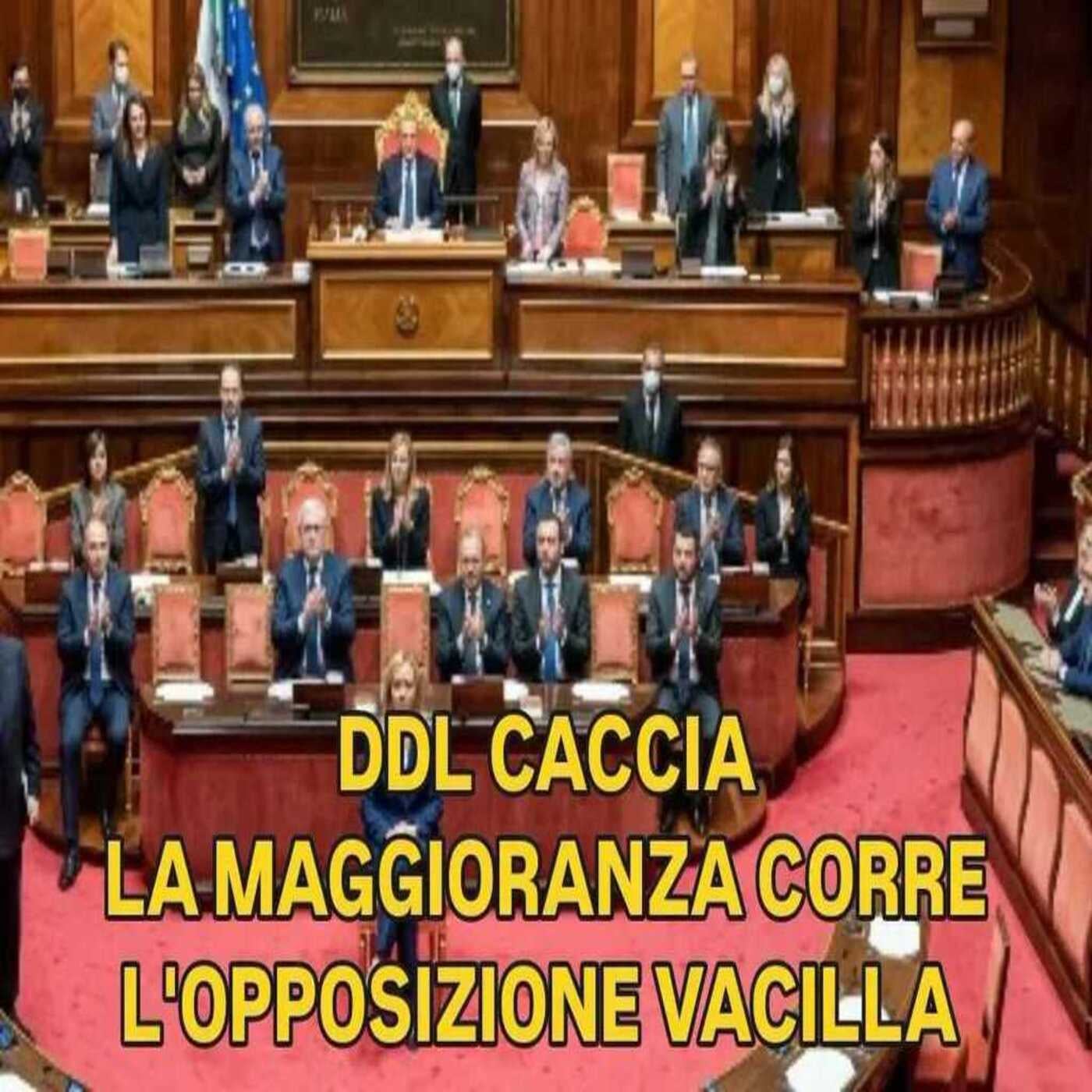 La Scatola Magica di martedì 04/08/2026