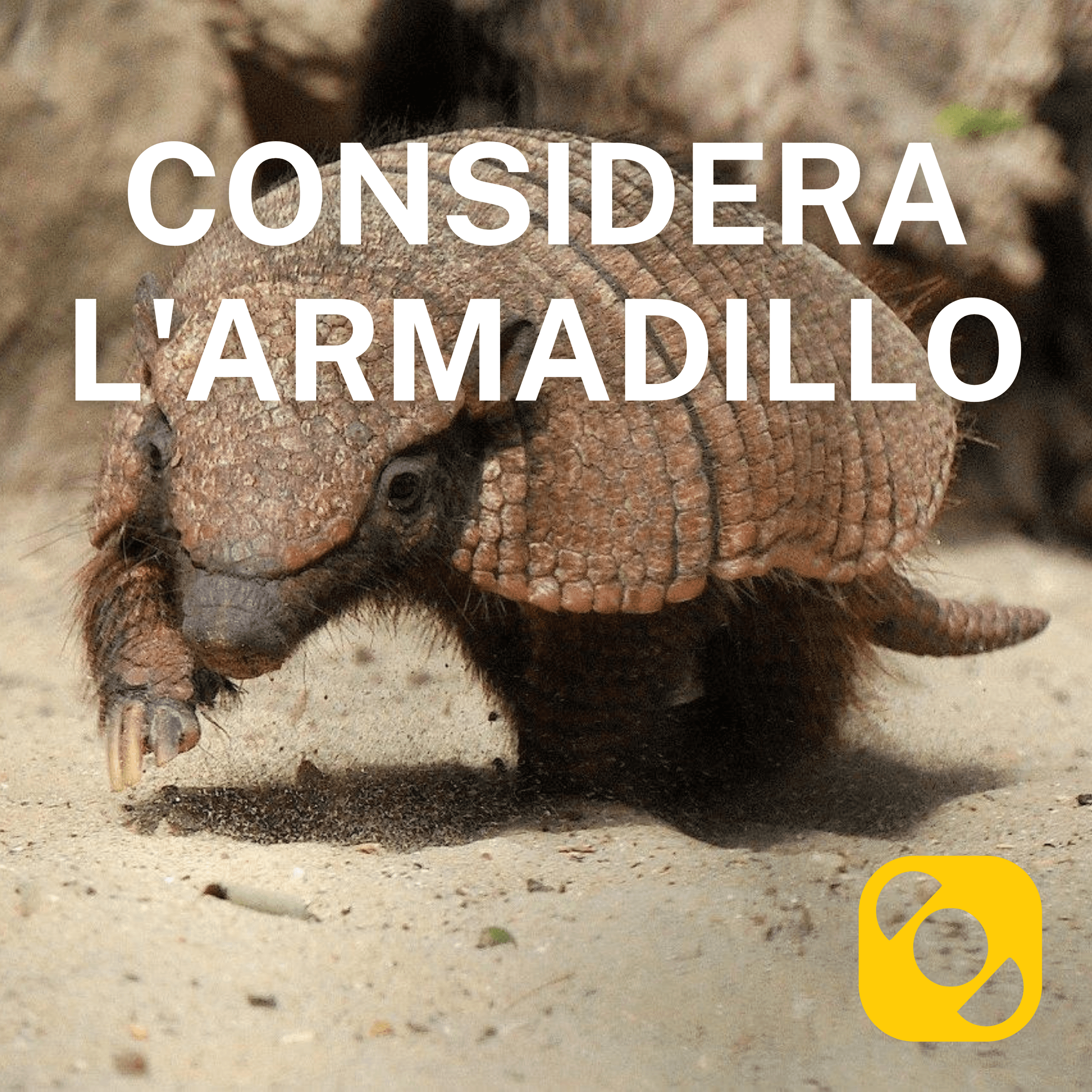 Considera l’armadillo di venerdì 12/06/2026