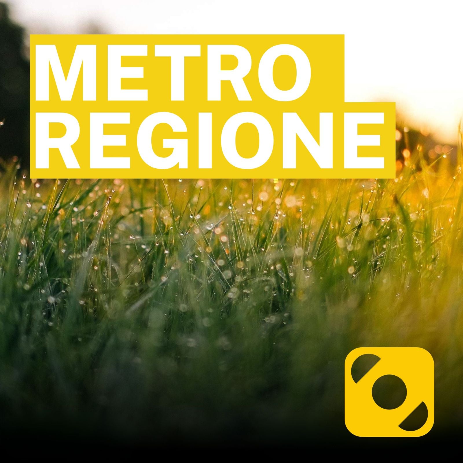 Metroregione di venerdì 13/03/2026 delle 19:50