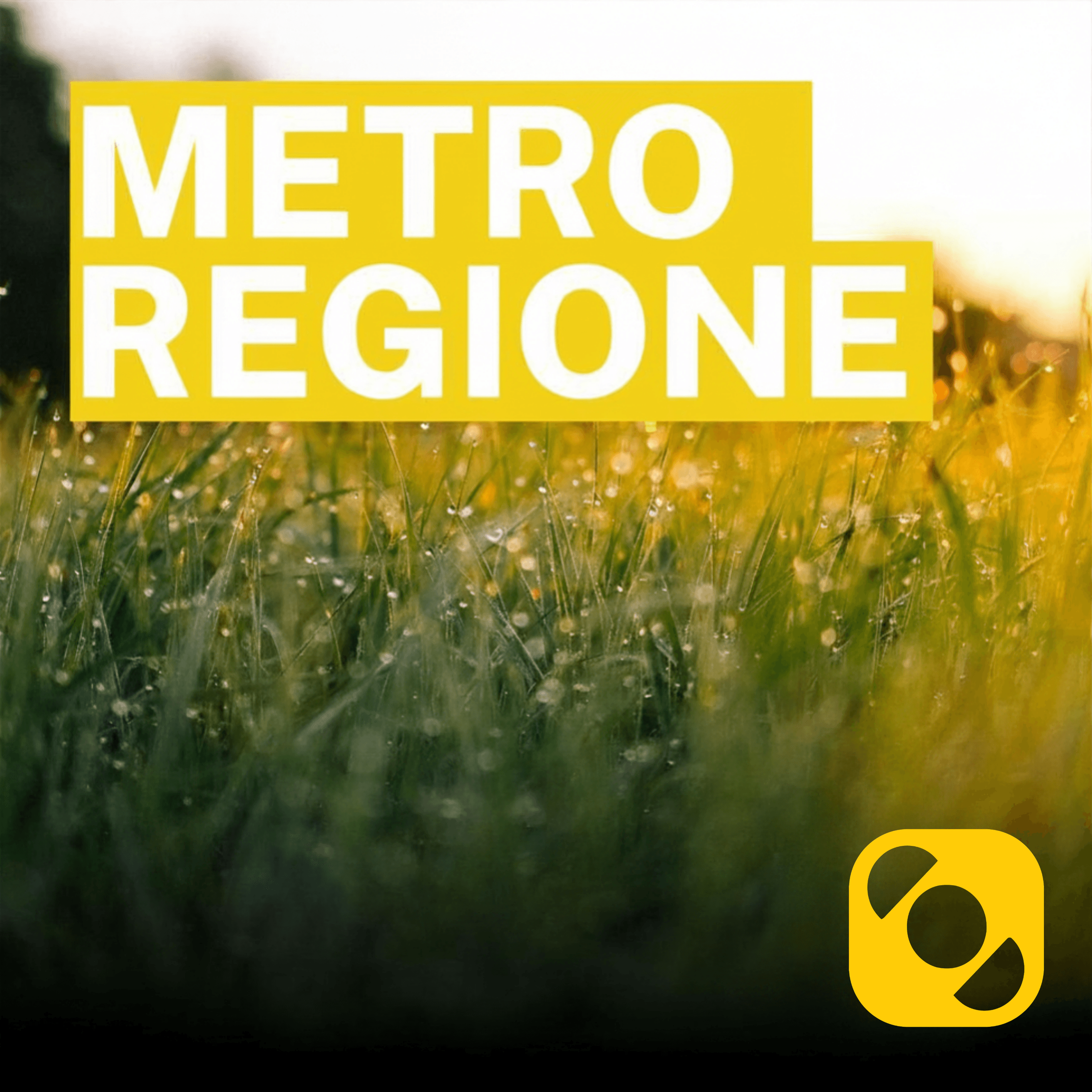 Metroregione di venerdì 12/06/2026 delle 19:48